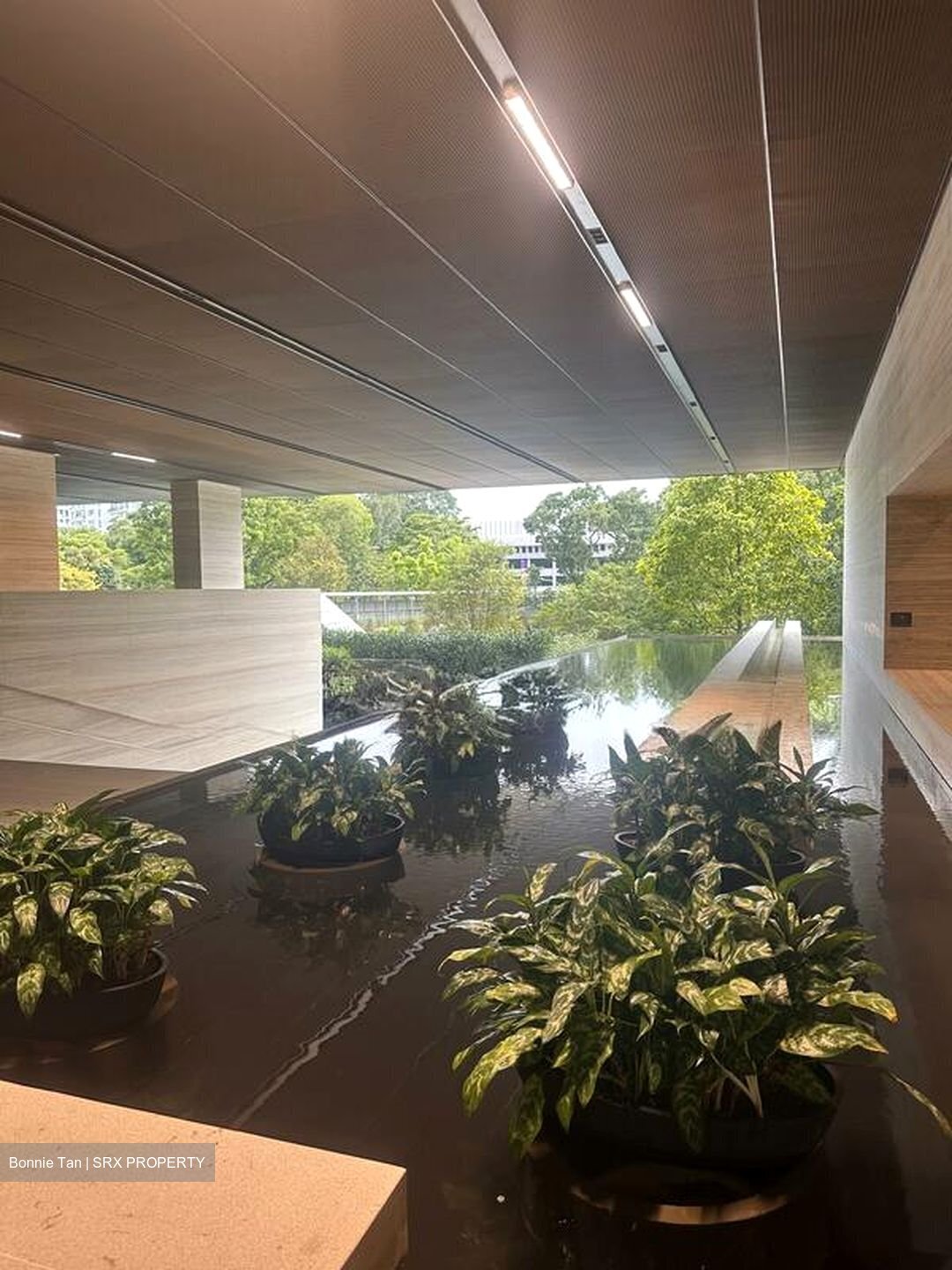 8 Napier (D10), Condominium #501905131